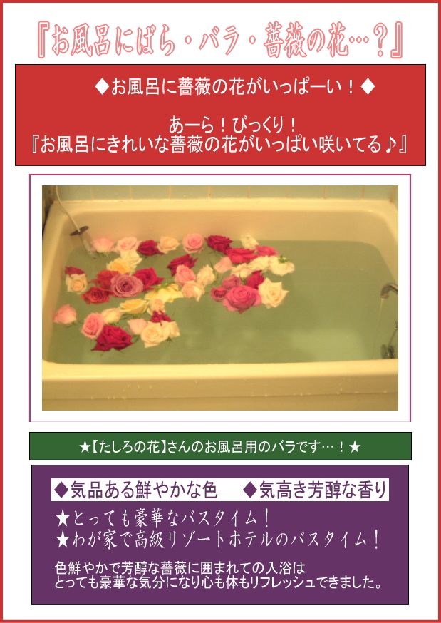 ��˰äΤ��⤷���̿���-��ˡ���˰���(����Ϥ�ˤФ顦�Х顦�鯤β֡�)